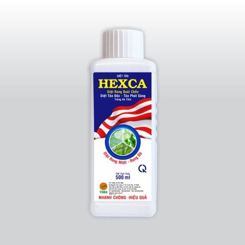  HEXCA - Chai 500ml (TT-TAO08) 