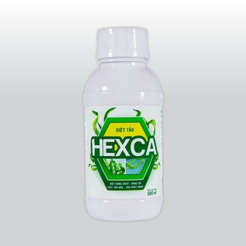  HEXCA - Chai 500ml (TT-TAO02) 