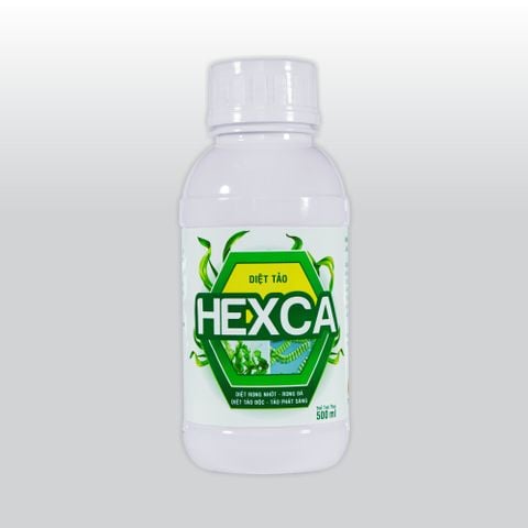  HEXCA - Chai 500ml - TT-TAO02 