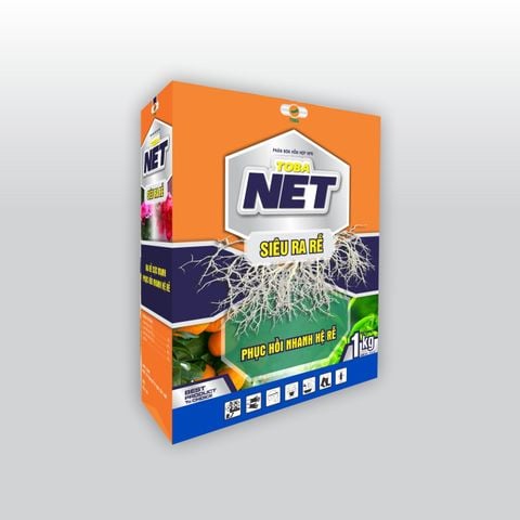  HỘP TOBA NET 1KG - NND-NET04 