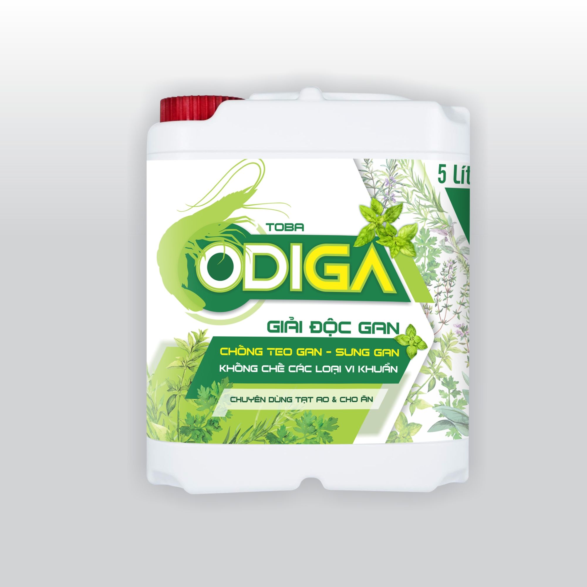 ODIGA - Can 5 Lit - TT-HPO04