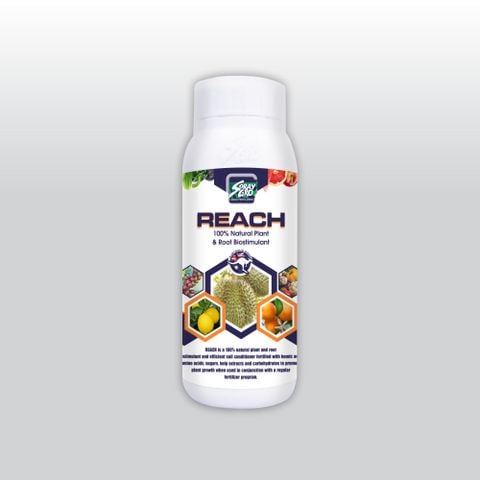  REACH CQC- SẦU RIÊNG - NND-NKR05 - 500ml 