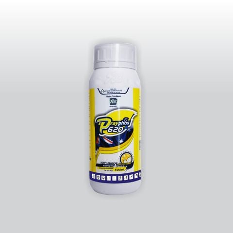  SPRAYPHOS 620 - CHAI 500ML - TNBVSP04 