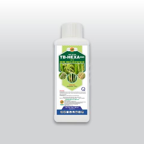  TB - HEXA 5SC - 480ml - BVTV-HE02 