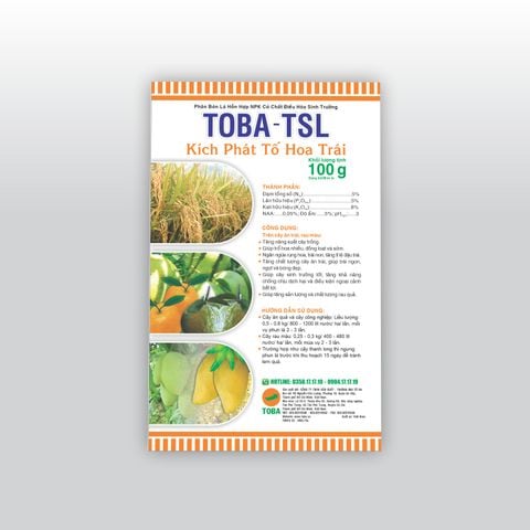  TB-TSL - GÓI 100G - TNPLTS01 