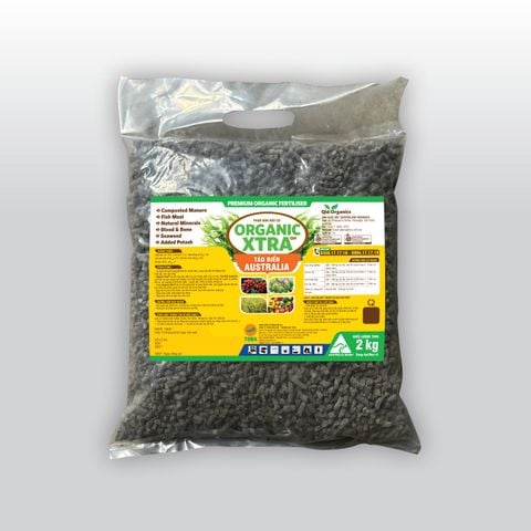  XTRA 2KG (PHC-ORNB2.1.1) 