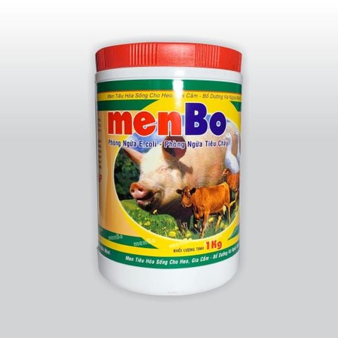  MENBO - Hũ 1 Kg (TBTY-MBH) 