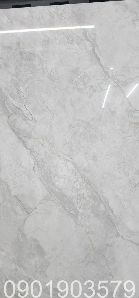 Gạch 80x80 Tasa 8140