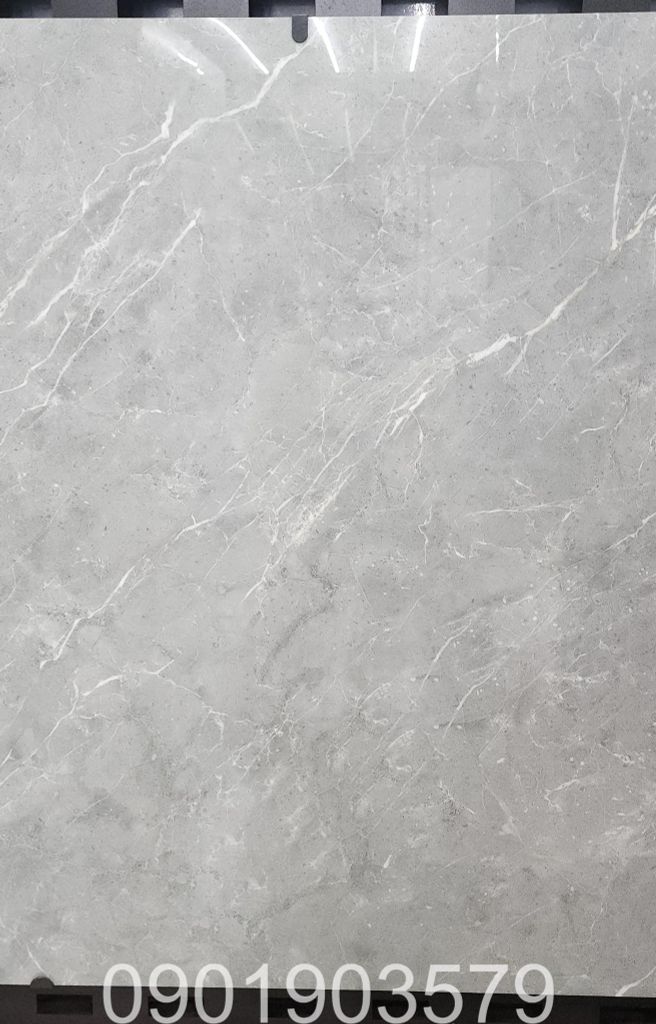 Gạch 80x80 Tasa 8559