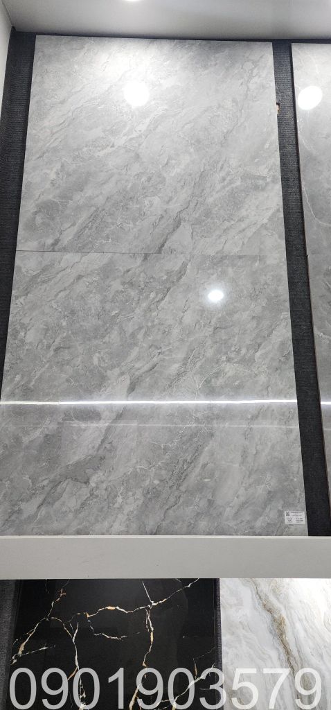 Gạch 80x80 Tasa 9215