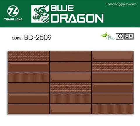 Gạch 25x50 Cosevco 2509
