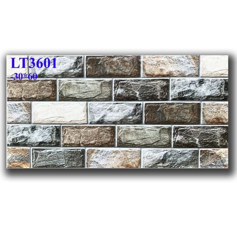 Gạch 30x60 Long Hầu LT3601