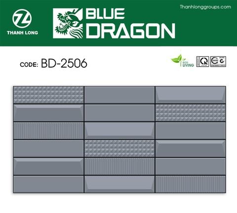 Gạch 25x50 Cosevco 2506