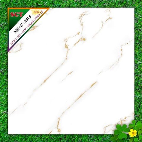 Gạch 60x60 Thế Giới 6315