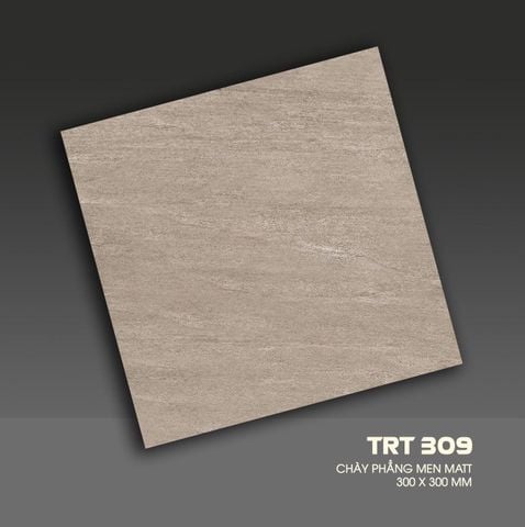 Gạch 30x30 CMC TRT309