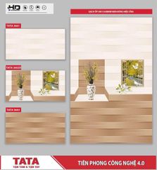 Gạch 30x60 BNC 3601 3602D 3603