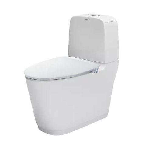 Bàn cầu hai khối + Nắp rửa cơ INAX AC-832+CW-S32VN