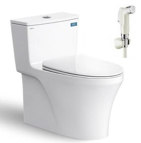 Bàn cầu một khối Viglacera HL2