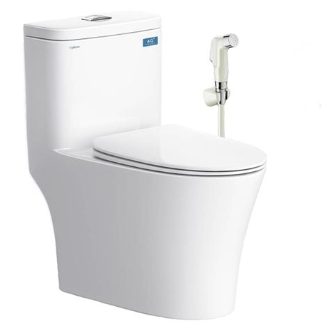 Bàn cầu một khối Viglacera V63