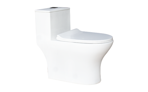 Bồn cầu một khối Thiên Thanh CK79
