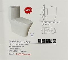 Bồn cầu một khối Thiên Thanh CK30