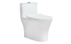 Bồn cầu một khối Thiên Thanh CK66