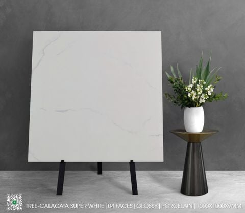 Gạch 100x100 Nhập khẩu Ấn Độ CALACATA_SUPER_WHITE