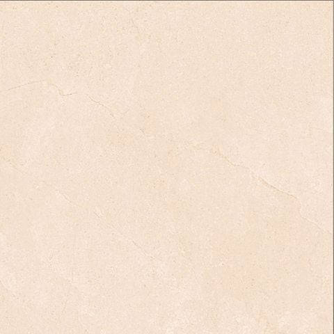 Gạch 60x60 Viglacera VG6014
