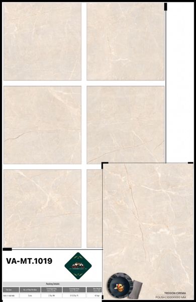 Gạch 100x100 Nhập Khẩu Ấn Độ MT1019