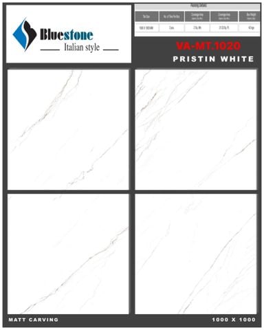 Gạch 100x100 Nhập Khẩu Ấn Độ MT1020M