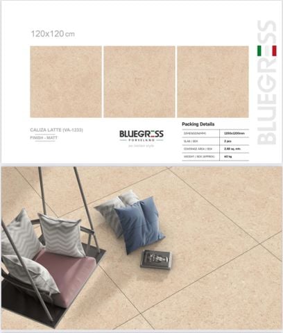 Gạch 120x120 Nhập khẩu Ấn Độ 1233
