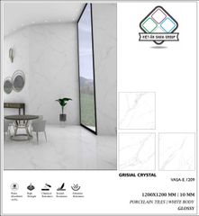 Gạch 120x120 Nhập Khẩu Ấn Độ E.1209