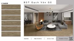 Gạch 15x60 Ý Mỹ C156002R