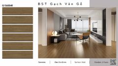Gạch 15x60 Ý Mỹ G156004R
