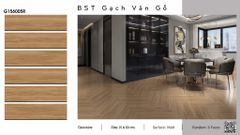 Gạch 15x60 Ý Mỹ G156005R