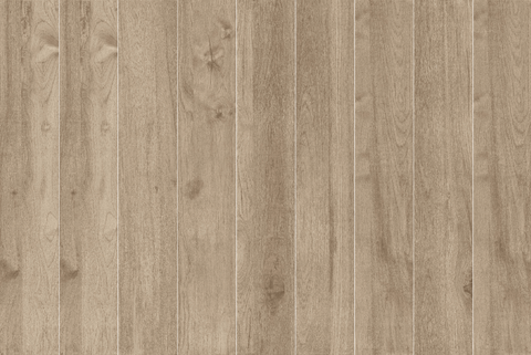 Gạch 20x120 Nhập Khẩu Ấn Độ ALDER_OLIVER