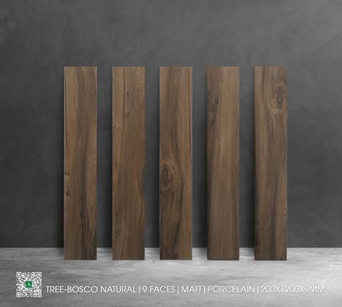 Gạch 20x120 Nhập Khẩu Ấn Độ TREE-BOSCO NATURAL
