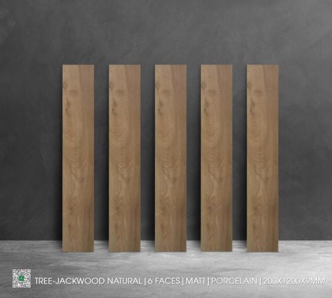 Gạch 20x120 Nhập khẩu Ấn Độ TREE-JACKWOOD NATURAL
