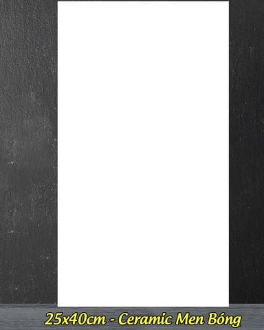 Gạch 25x40 Prime 9200 trắng trơn