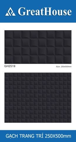 Gạch 25x50 Cosevco GH2519 trang trí