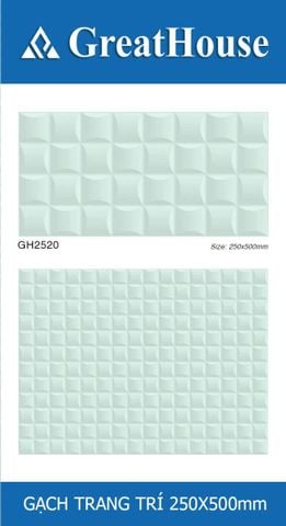 Gạch 25x50 Cosevco GH2520 trang trí