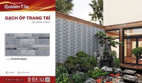 Gạch 25x50 Mikado GT25701 trang trí