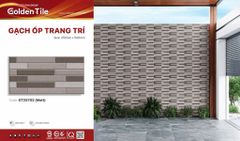 Gạch 25x50 Mikado GT25702 trang trí