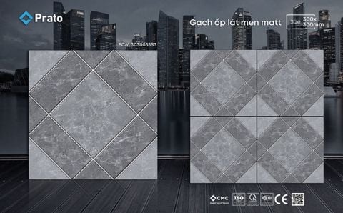 Gạch 30x30 CMC 3030055S3