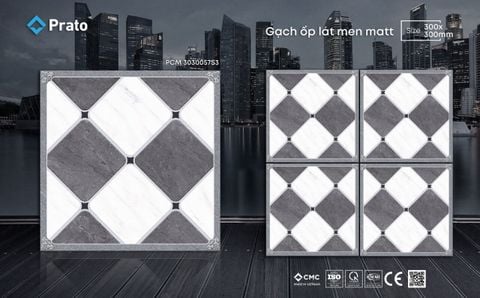Gạch 30x30 CMC 3030057S3