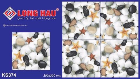 Gạch 30x30 Long Hầu KS374