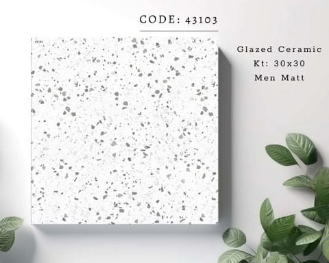 Gạch 30x30 Takao 43103 mờ