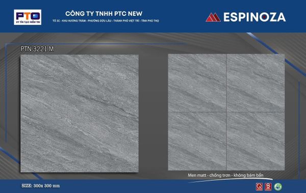 Gạch 30x30 Thanh Hà PTN3221M