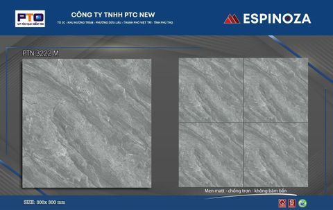 Gạch 30x30 Thanh Hà PTN3222M