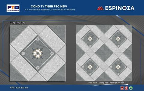 Gạch 30x30 Thanh Hà PTN3223M